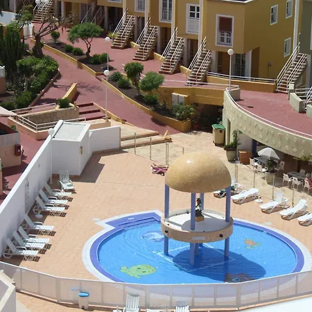 Zebra 3 Piscines Costa Adeje (Tenerife)