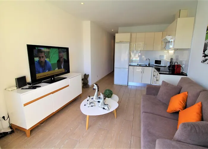 Apartman Zebra 3 Piscines Costa Adeje (Tenerife)